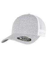 Flexfit 110 Mesh 2-Tone Cap Melange silver/White