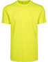 Build Your Brand T-Shirt Round Neck Frozen Yellow